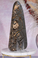 Marston Marble Freeform 22cm, Lower Jurassic, UK Fossil Tali & Loz Crystals