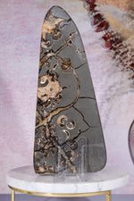 Marston Marble Freeform 22cm, Lower Jurassic, UK Fossil Tali & Loz Crystals