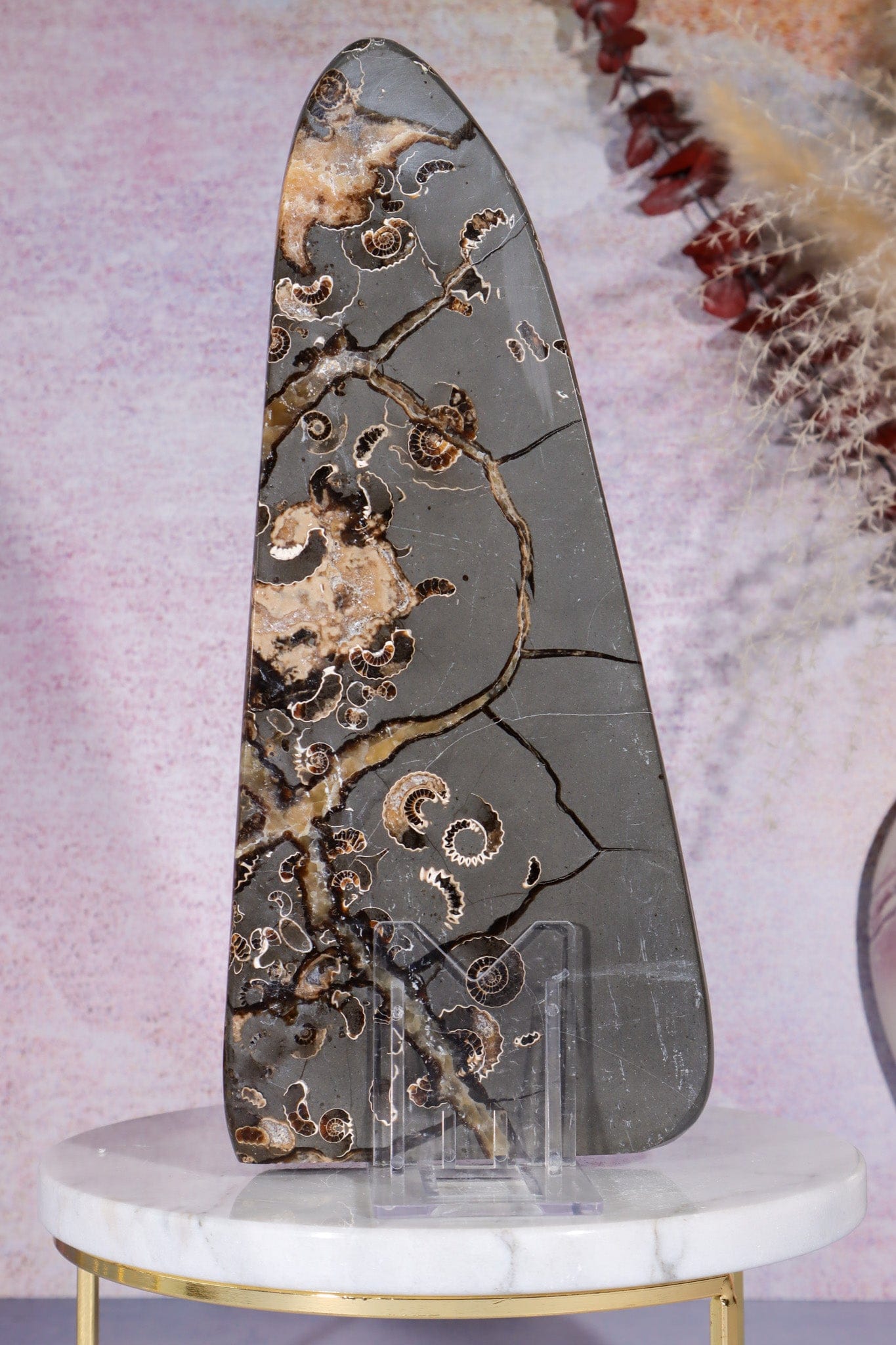 Marston Marble Freeform 22cm, Lower Jurassic, UK Fossil Tali & Loz Crystals