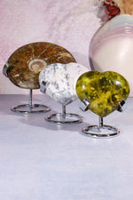 Medium Crystal Stand 7.5cm | 4 Colours Available Specimen Stand Tali & Loz Crystals