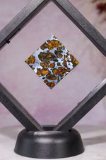 Meteorite Pallasite With Olivine 3cm Meteorite Tali & Loz Crystals