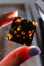 Meteorite Pallasite With Olivine 3cm Meteorite Tali & Loz Crystals