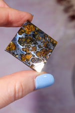 Meteorite Pallasite With Olivine 3cm Meteorite Tali & Loz Crystals