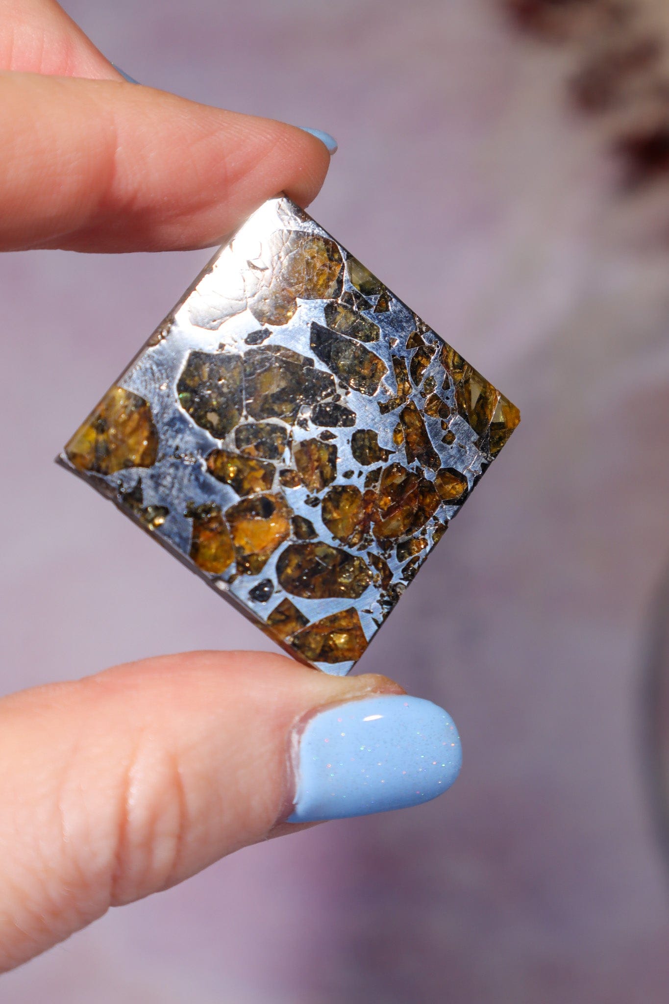Meteorite Pallasite With Olivine 3cm Meteorite Tali & Loz Crystals