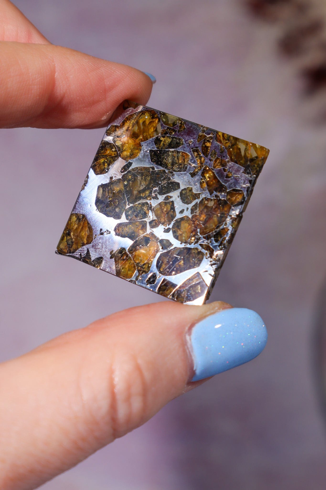Meteorite Pallasite With Olivine 3cm Meteorite Tali & Loz Crystals