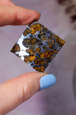 Meteorite Pallasite With Olivine 3cm Meteorite Tali & Loz Crystals