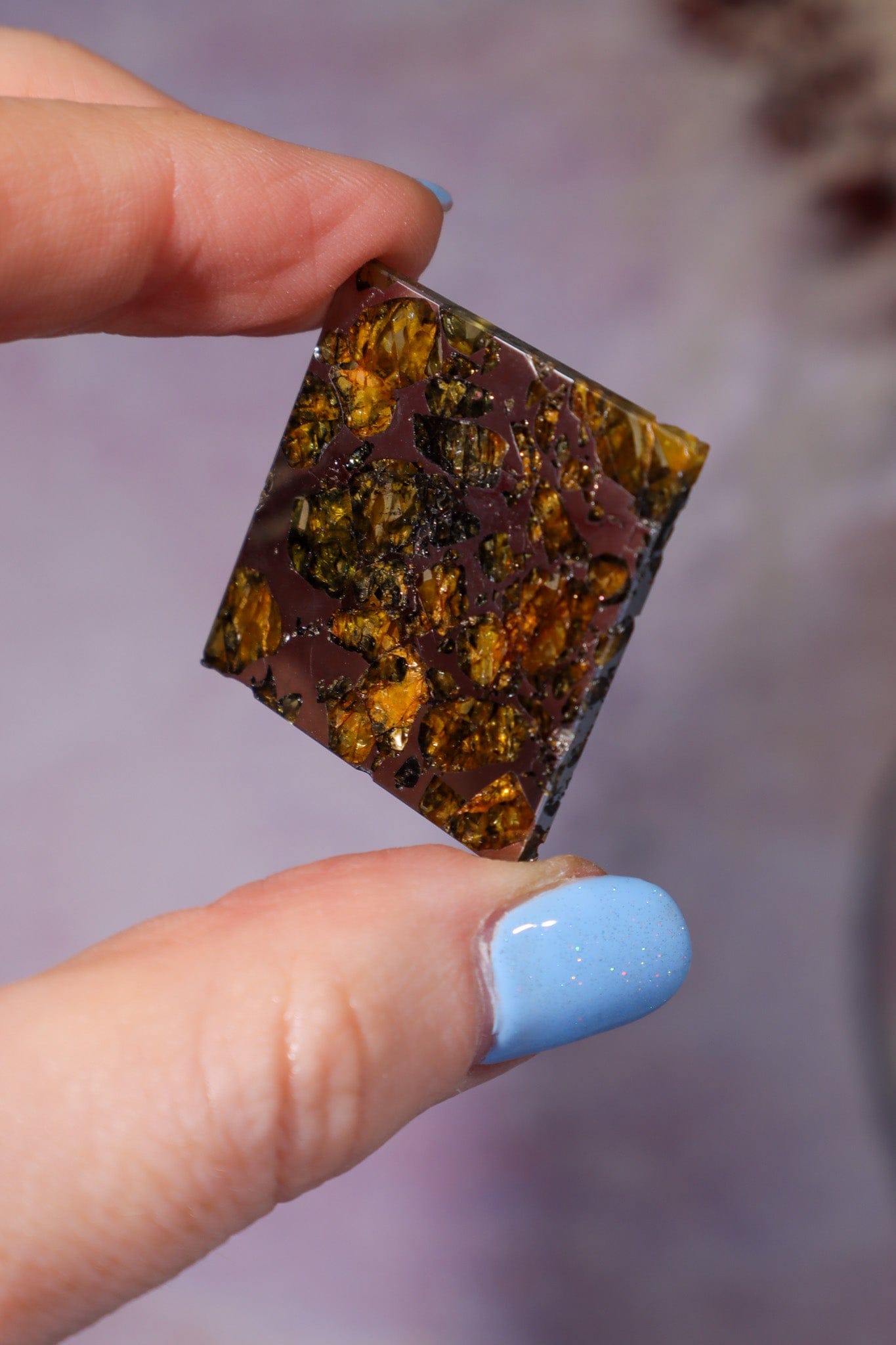 Meteorite Pallasite With Olivine 3cm Meteorite Tali & Loz Crystals