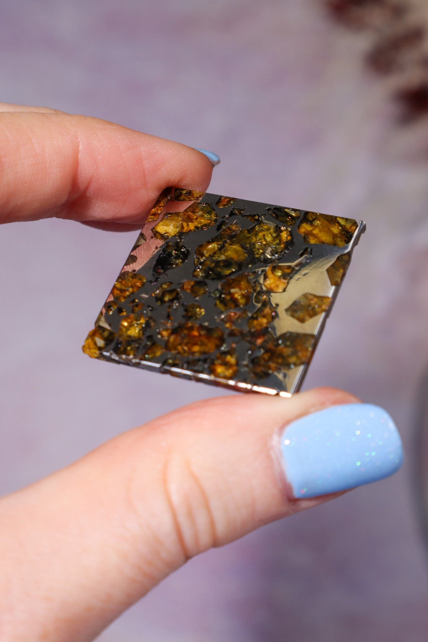 Meteorite Pallasite With Olivine 3cm Meteorite Tali & Loz Crystals