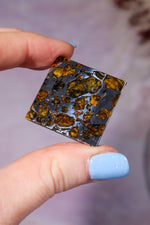 Meteorite Pallasite With Olivine 3cm Meteorite Tali & Loz Crystals