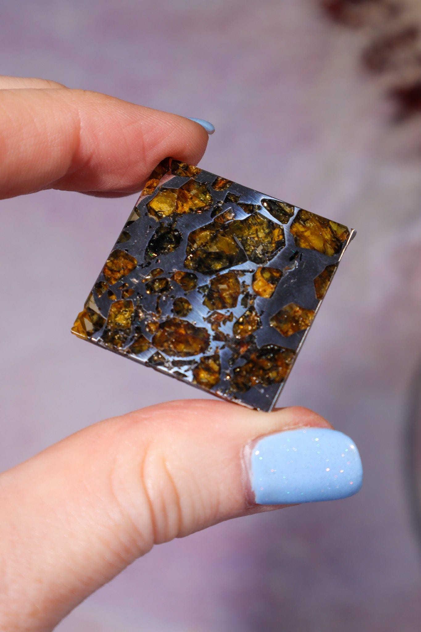 Meteorite Pallasite With Olivine 3cm Meteorite Tali & Loz Crystals