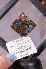 Meteorite Pallasite With Olivine 3cm Meteorite Tali & Loz Crystals