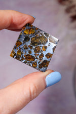 Meteorite Pallasite With Olivine 3cm Meteorite Tali & Loz Crystals