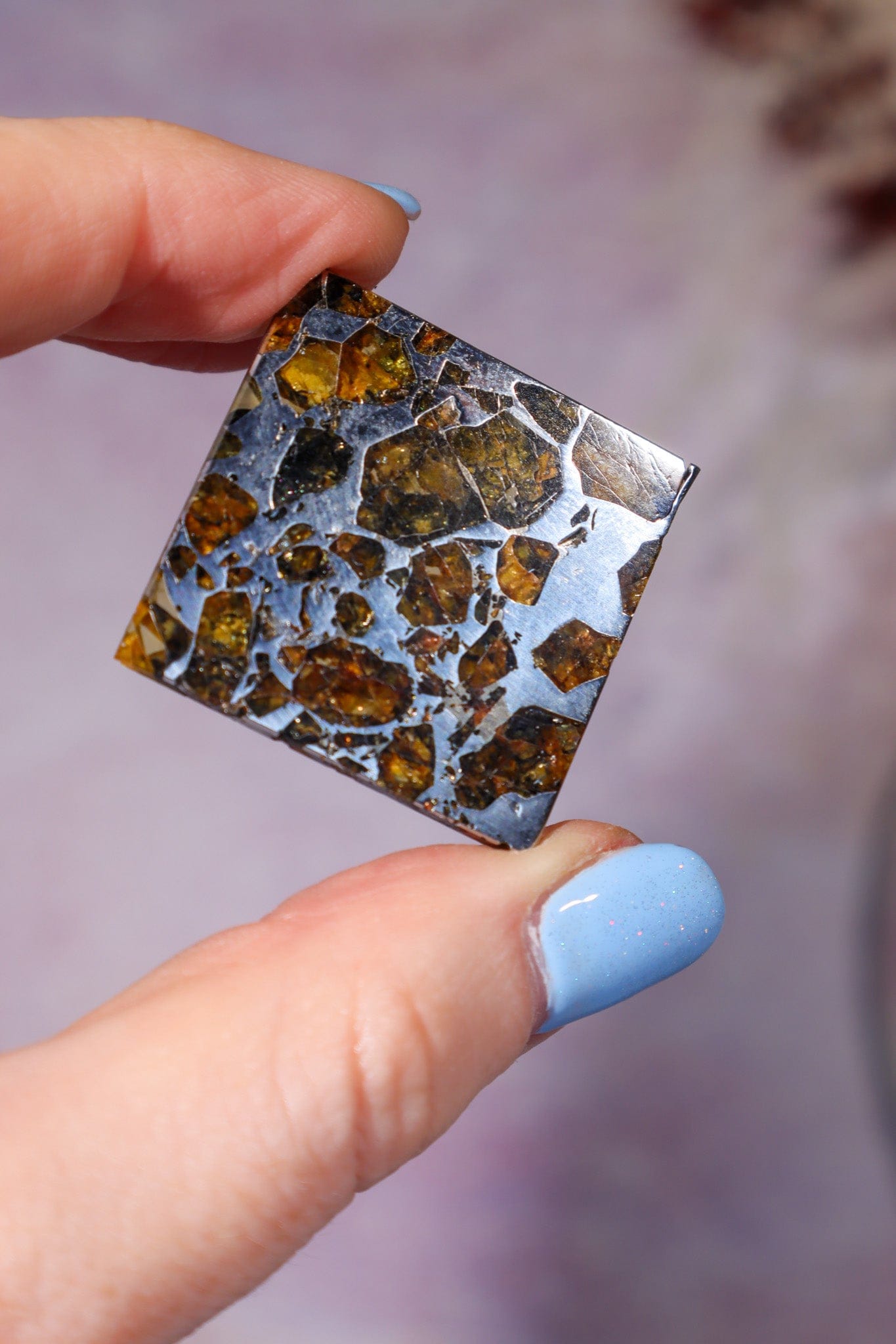 Meteorite Pallasite With Olivine 3cm Meteorite Tali & Loz Crystals