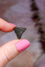 Moldavite Tektite | 1.02g | Czech Republic Tektites Tali & Loz Crystals