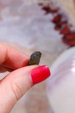 Moldavite Tektite 1.13gr Tektites Tali & Loz Crystals