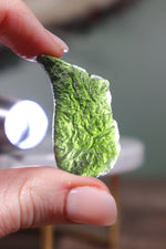 Moldavite Tektite 11.06gr - Tali & Loz Crystals