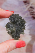 Moldavite Tektite 13.03gr Museum Grade Tektites Tali & Loz Crystals
