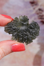 Moldavite Tektite 13.03gr Museum Grade Tektites Tali & Loz Crystals