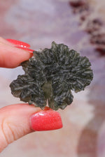 Moldavite Tektite 13.03gr Museum Grade Tektites Tali & Loz Crystals