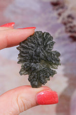 Moldavite Tektite 13.03gr Museum Grade Tektites Tali & Loz Crystals