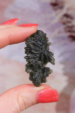 Moldavite Tektite 13.03gr Museum Grade Tektites Tali & Loz Crystals