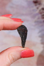 Moldavite Tektite 4.85gr Tektites Tali & Loz Crystals