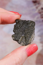 Moldavite Tektite 7.7gr Tektites Tali & Loz Crystals