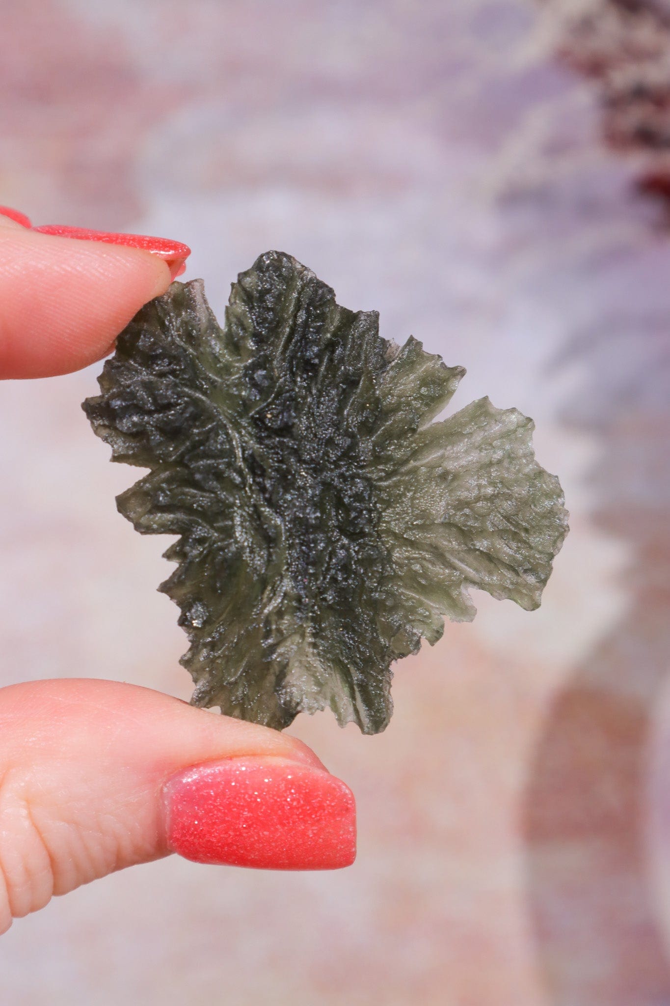 Moldavite Tektite 8.42gr Museum Grade Tektites Tali & Loz Crystals
