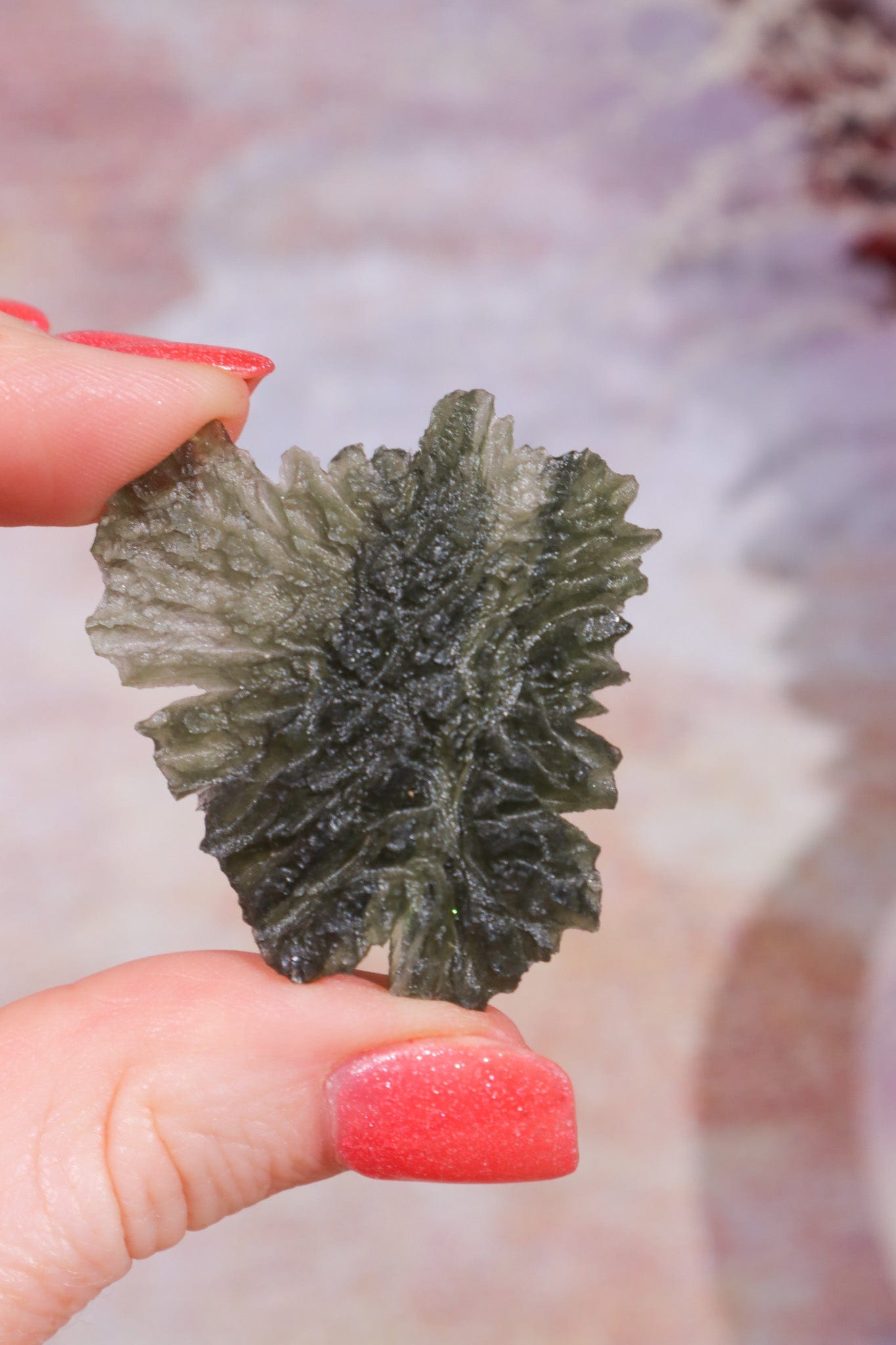 Moldavite Tektite 8.42gr Museum Grade Tektites Tali & Loz Crystals