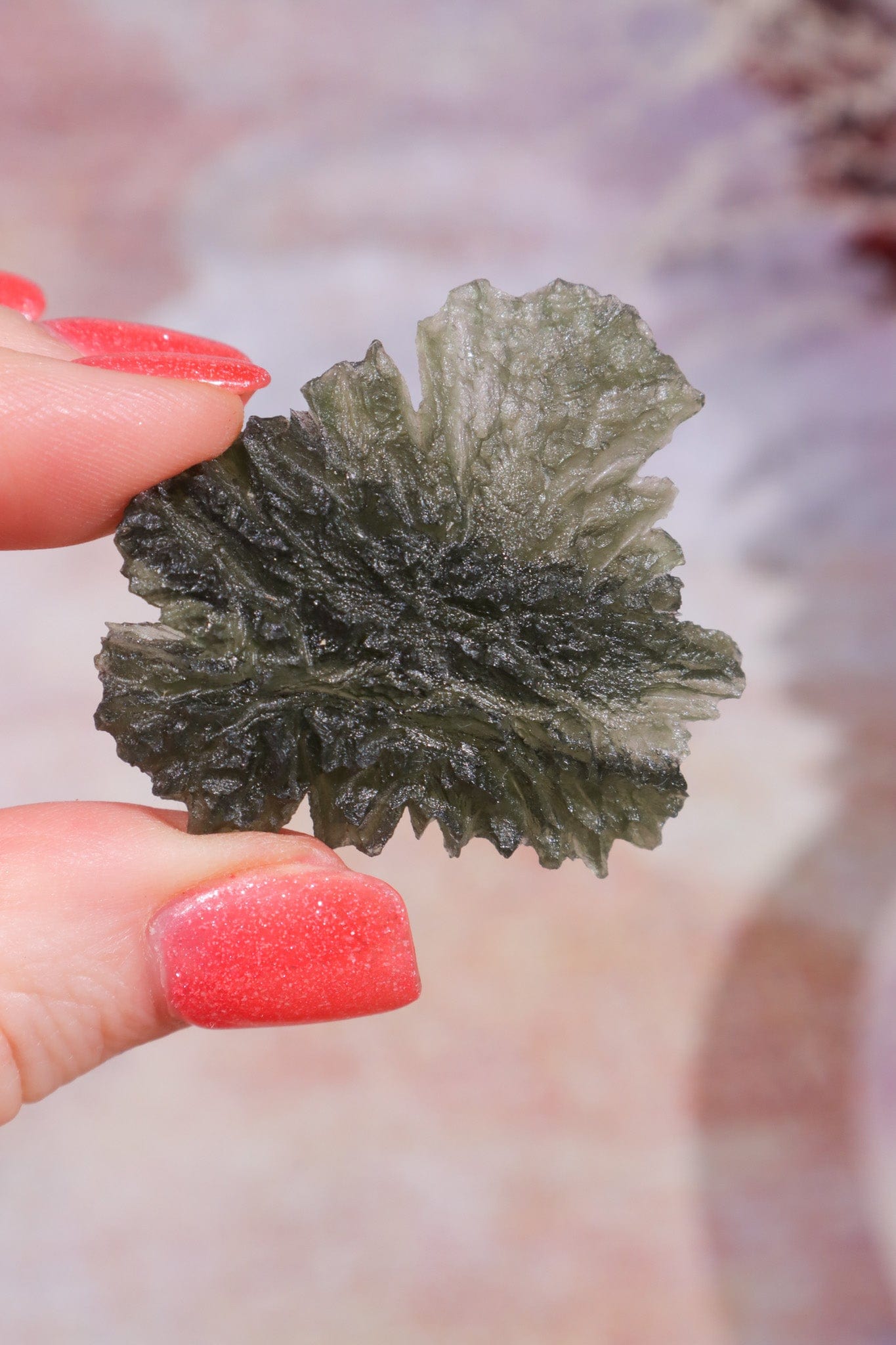 Moldavite Tektite 8.42gr Museum Grade Tektites Tali & Loz Crystals