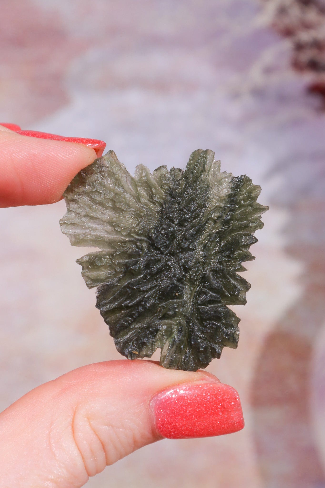 Moldavite Tektite 8.42gr Museum Grade Tektites Tali & Loz Crystals
