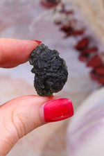 Moldavite Tektite 9.25gr Tektites Tali & Loz Crystals