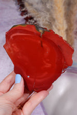 Mookaite Jasper Slice 10.5cm, Australia Slices Tali & Loz Crystals