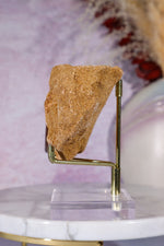 Mosasaurus Tooth In Matrix 168gr, Morocco Fossil Tali & Loz Crystals