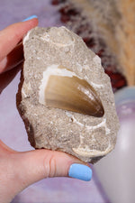 Mosasaurus Tooth In Matrix 228g, Morocco Fossil Tali & Loz Crystals