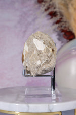 Mosasaurus Tooth In Matrix 228g, Morocco Fossil Tali & Loz Crystals