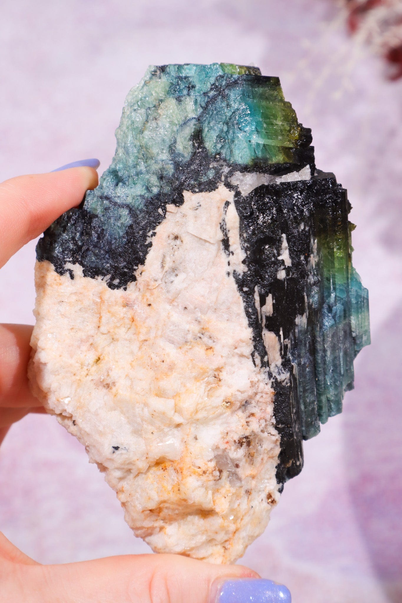 Multicolour Tourmaline From Quebec, Canada Specimen Tali & Loz Crystals