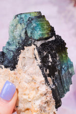 Multicolour Tourmaline From Quebec, Canada Specimen Tali & Loz Crystals