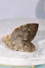 Natural Elestial Smokey Quartz Point With Calcite 6cm Points Tali & Loz Crystals