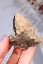 Natural Elestial Smokey Quartz Point With Calcite 6cm Points Tali & Loz Crystals