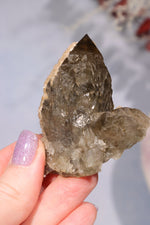 Natural Elestial Smokey Quartz Point With Calcite 6cm Points Tali & Loz Crystals