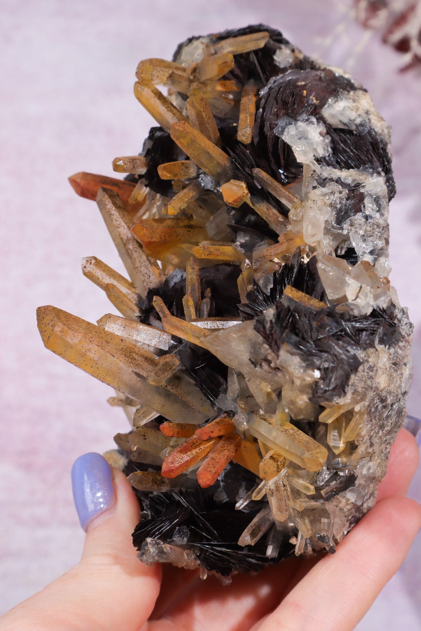 Natural Hematite Roses With Iron & Hematite Stained Quartz Specimen Specimen Tali & Loz Crystals