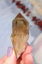 Natural Kundalini Citrine Point 6.5cm Specimen Tali & Loz Crystals