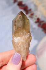 Natural Kundalini Citrine Point 6.5cm Specimen Tali & Loz Crystals