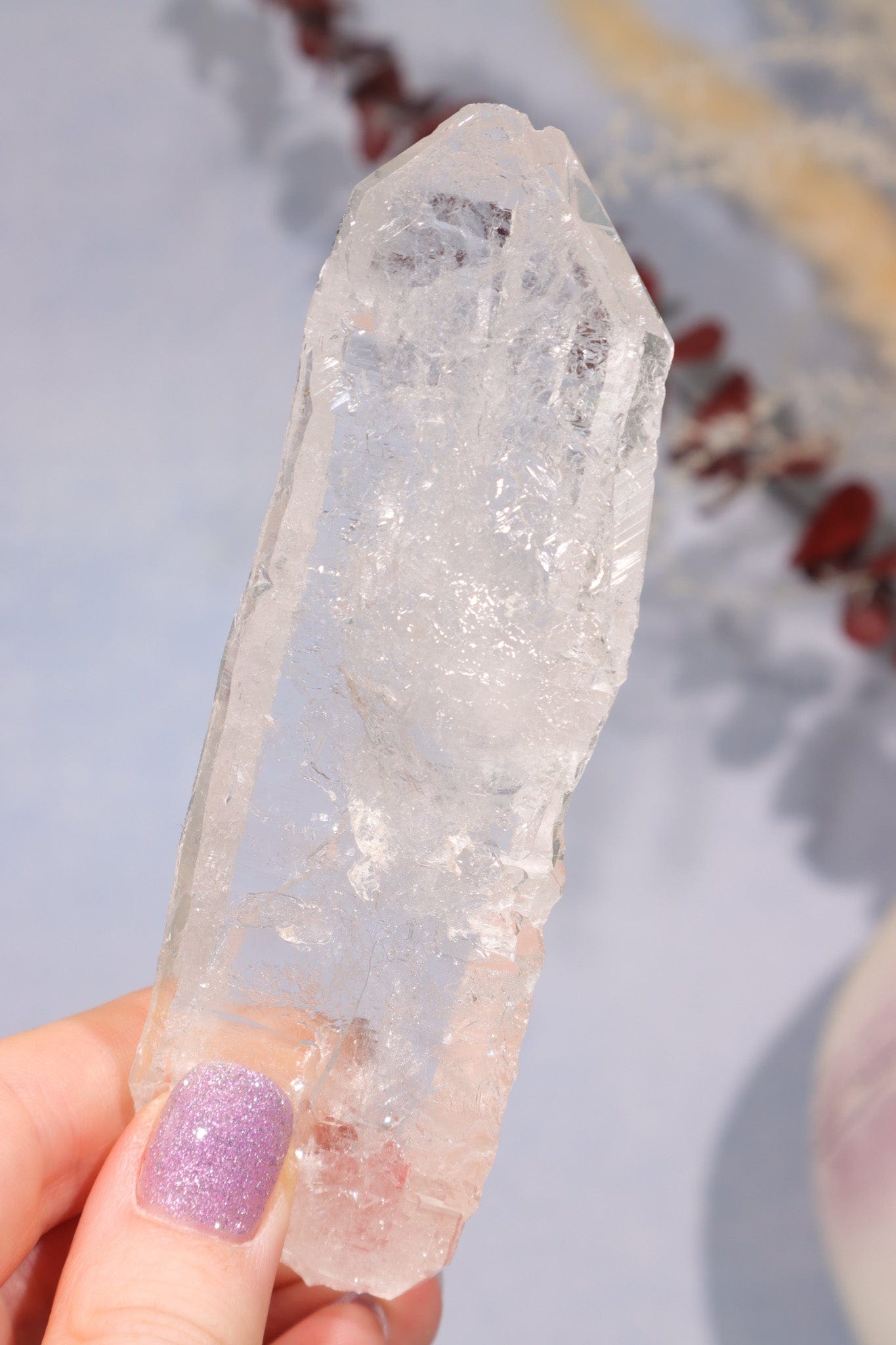 Natural Rough Clear Quartz Flat Point 11cm Points Tali & Loz Crystals
