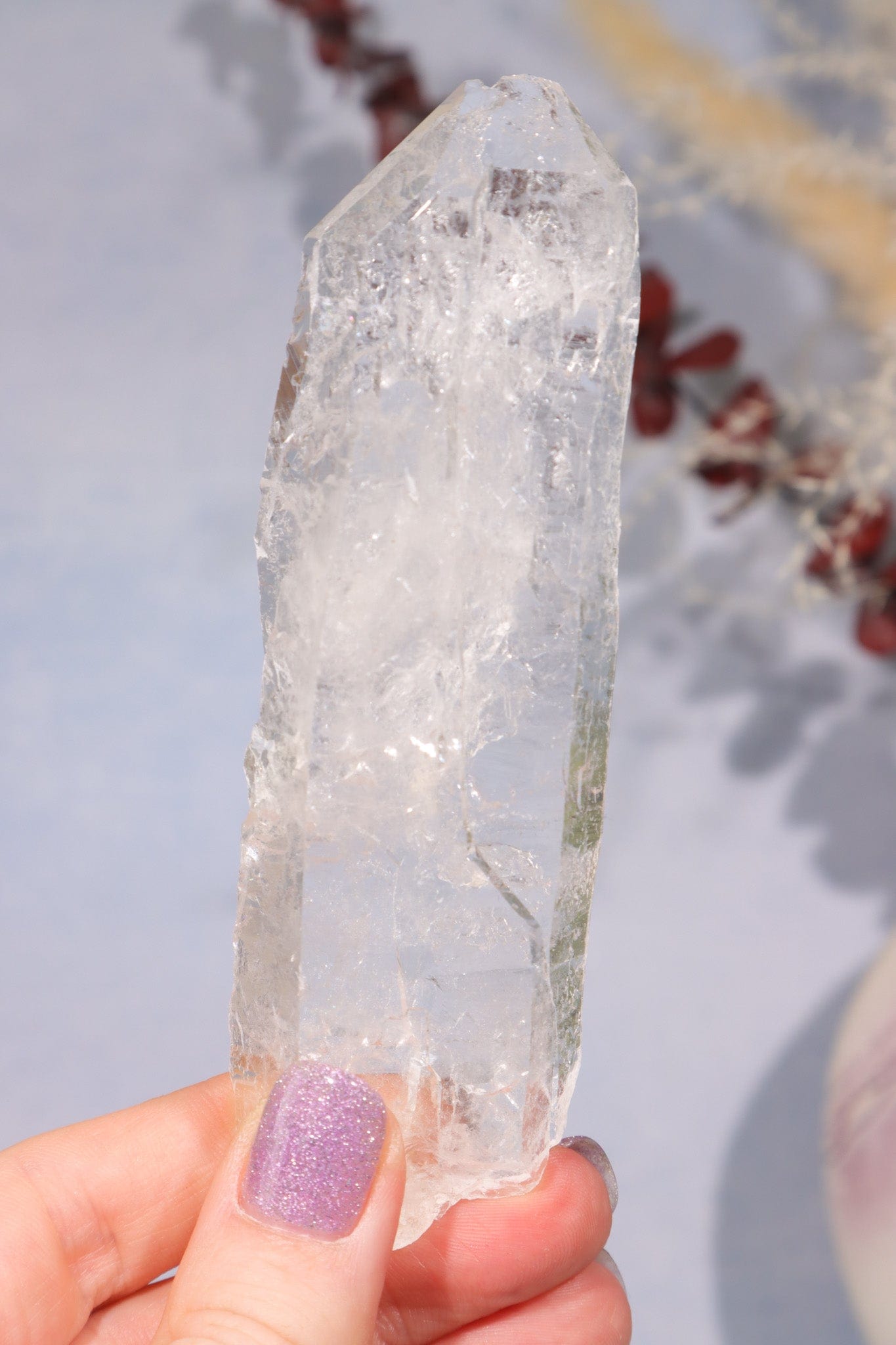 Natural Rough Clear Quartz Flat Point 11cm Points Tali & Loz Crystals