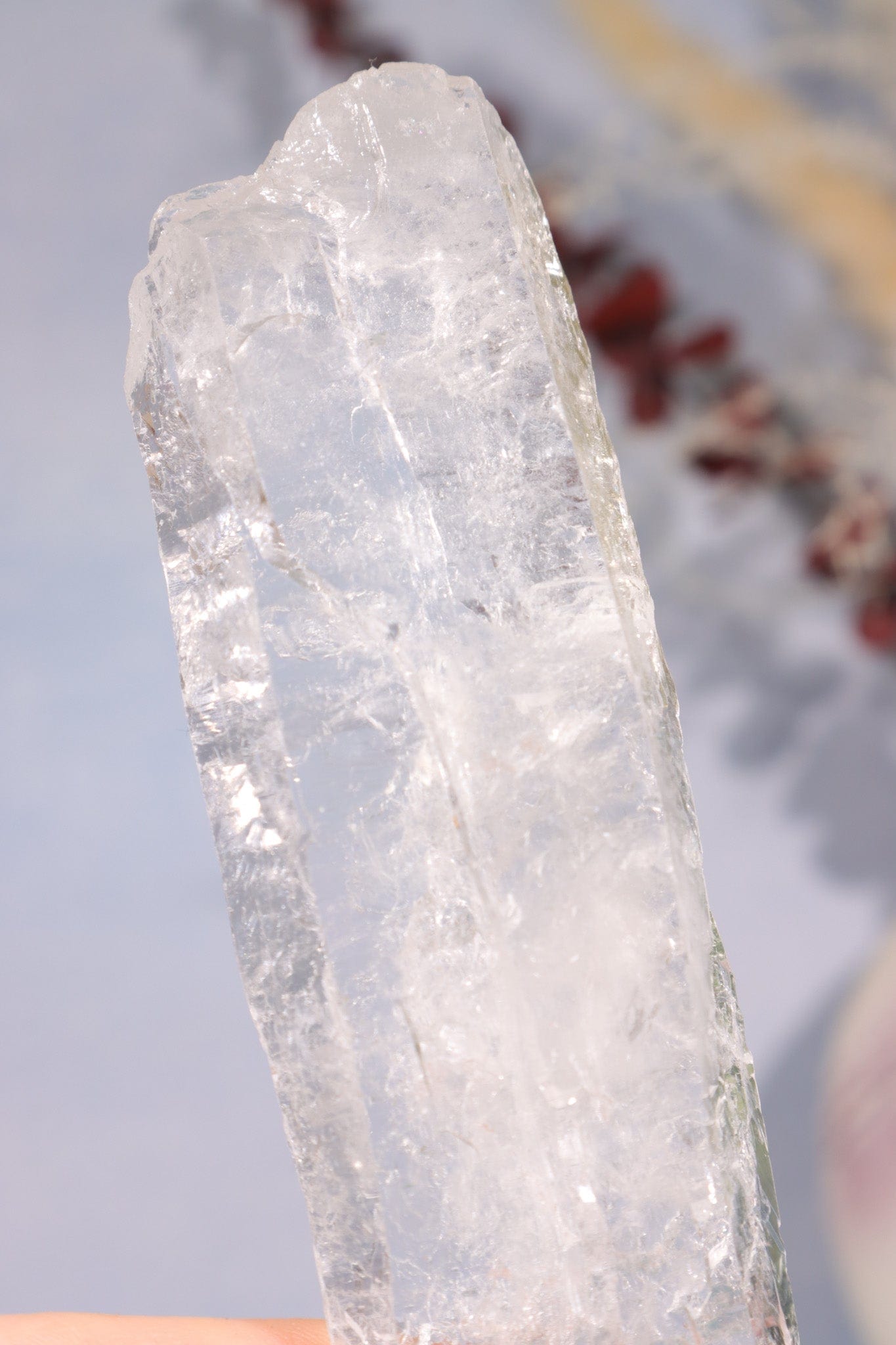 Natural Rough Clear Quartz Flat Point 11cm Points Tali & Loz Crystals