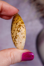 Ocean Jasper Cabochon 4.4cm, Indonesia Cabochons Tali & Loz Crystals