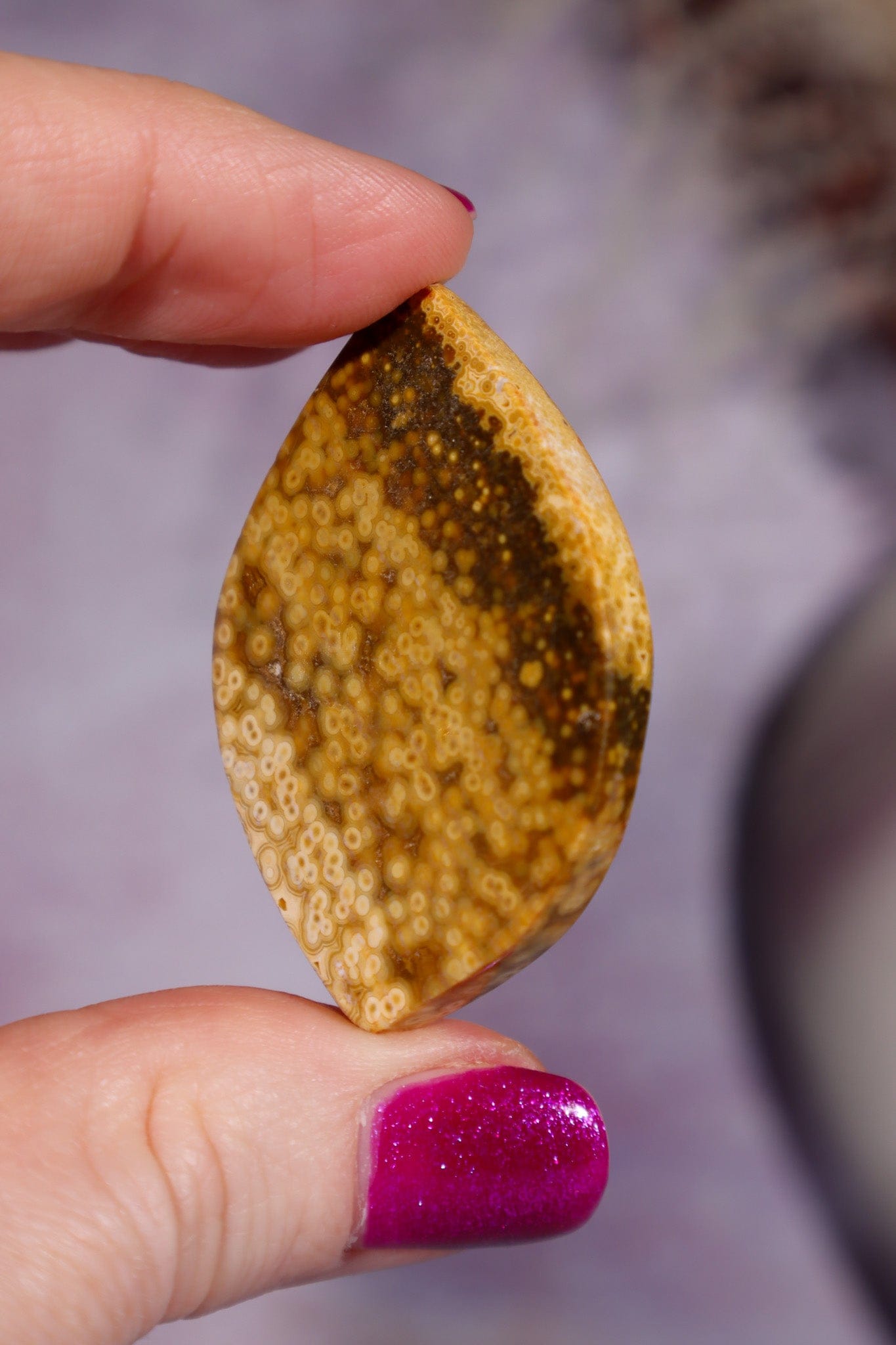 Ocean Jasper Cabochon 4.4cm, Indonesia Cabochons Tali & Loz Crystals