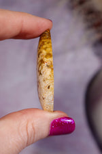 Ocean Jasper Cabochon 4.4cm, Indonesia Cabochons Tali & Loz Crystals